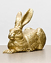 Dürer Hase (Gold)