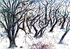 Baumlandschaft im Winter