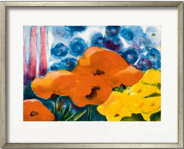  Klatschmohn 