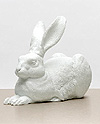 Dürer Hase (Weiß)