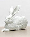 Dürer Hase (Weiß)