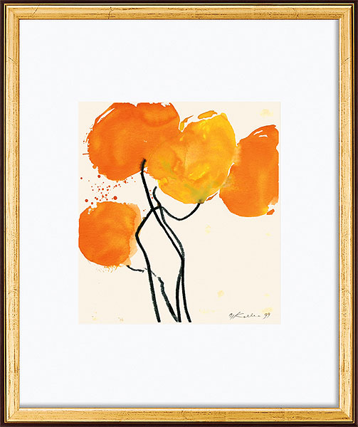  Oranger Mohn 