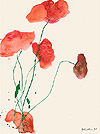 Roter Mohn mit grünen Stängeln