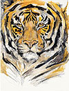 Tiger (Menschenmassen)