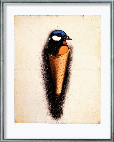  Eisvogel 