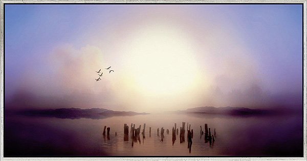  Dawn 