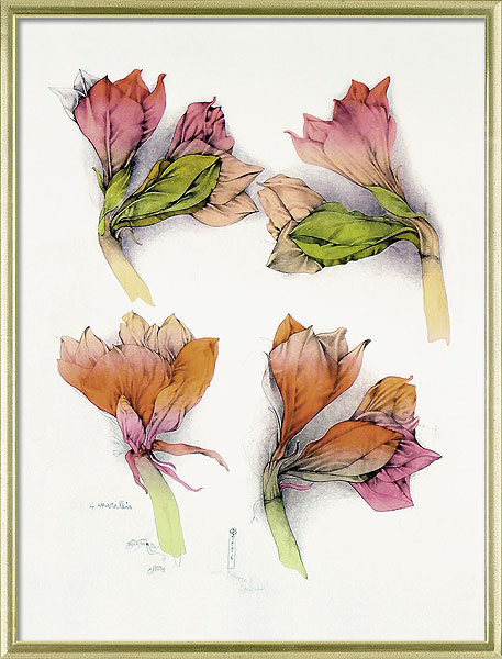  Vier Amaryllis 