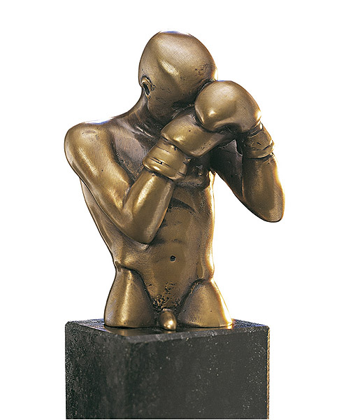  Der Boxer 