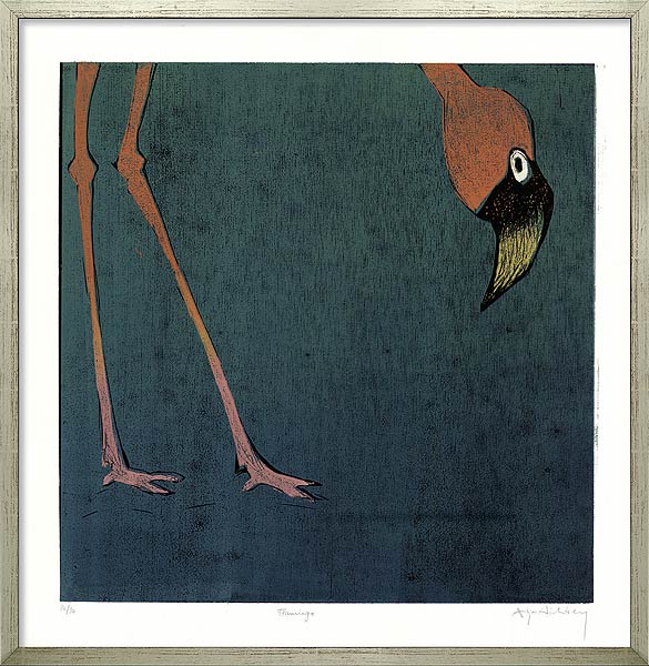  Flamingo 