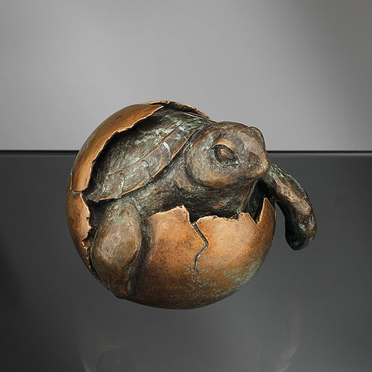  Schildkröte 
