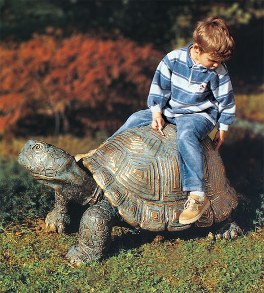  Schildkröte 