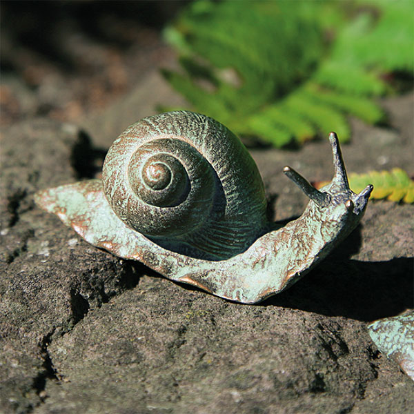  Schnecke 