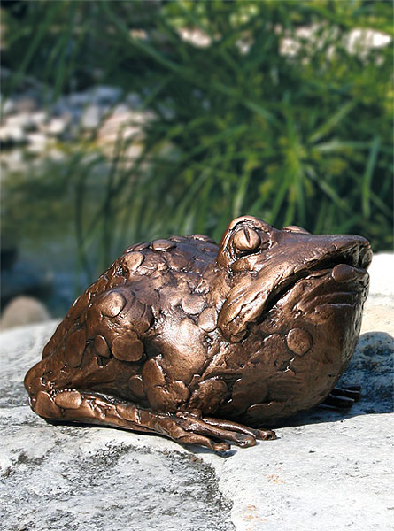  Kröte 