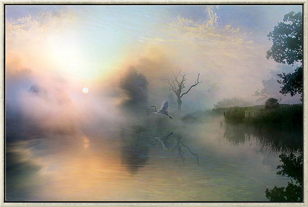  Silent Rise 