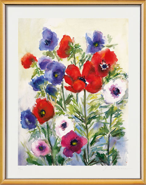 Anemonen 