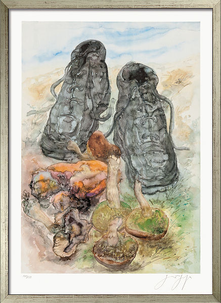  Pilze und Schuhe 