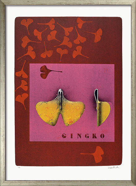  Ginkgo-Blatt 