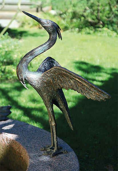  Fischreiher 